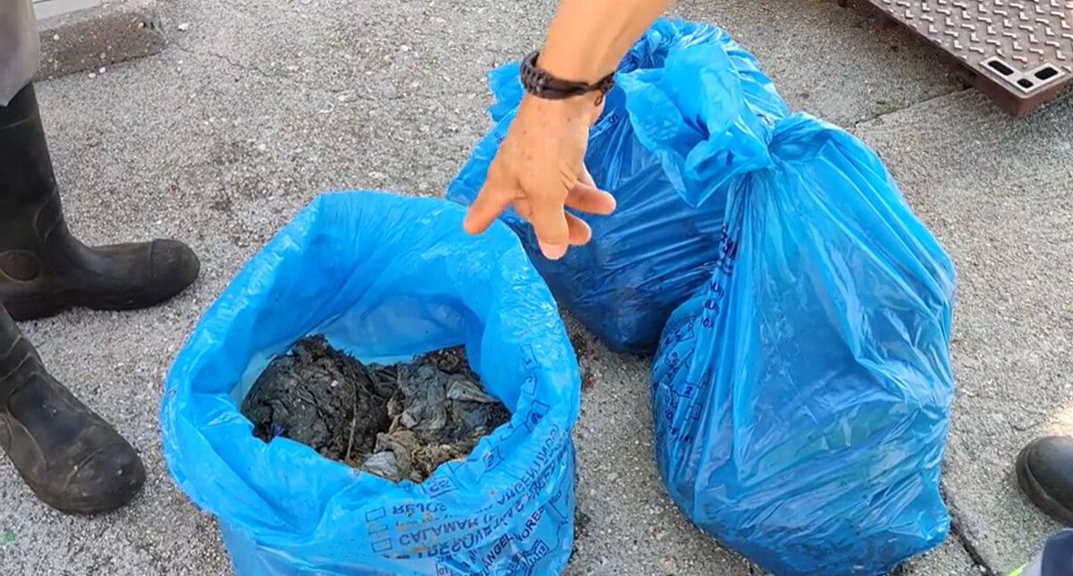 Toallitas y papel higiénico húmedo retirado del alcantarillado de A Illa de Arousa