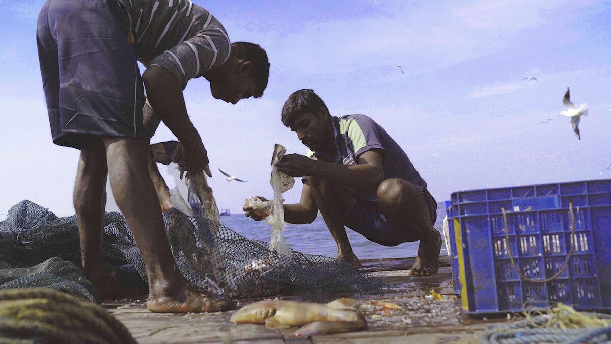 Escena del documental "Remando a la deriva"