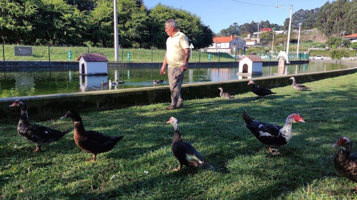 Os patos do parque de Costa Xiráldez