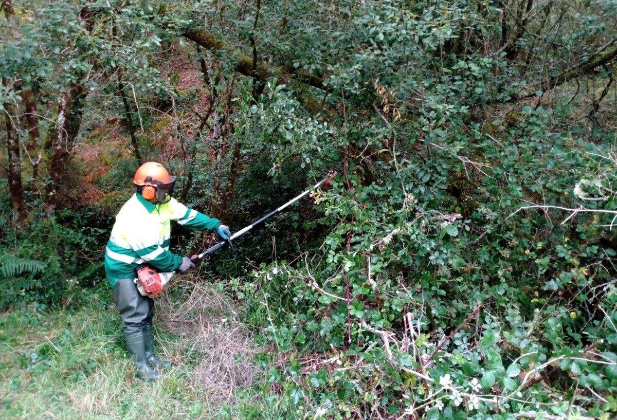 Actuación de Augas de Galicia en el río Patela en Cuntis