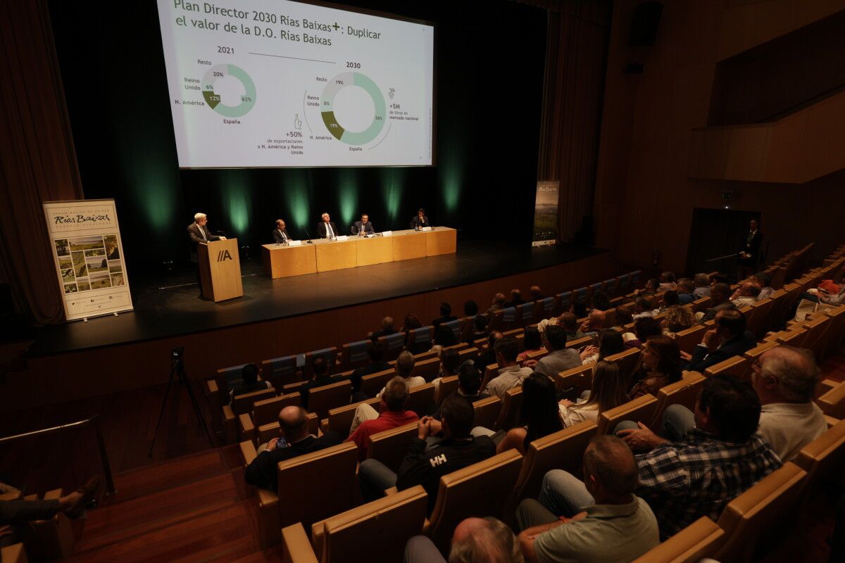 Presentación do Plan director 2030 da Denominación de Orixe (D.O.) Rías Baixas 
