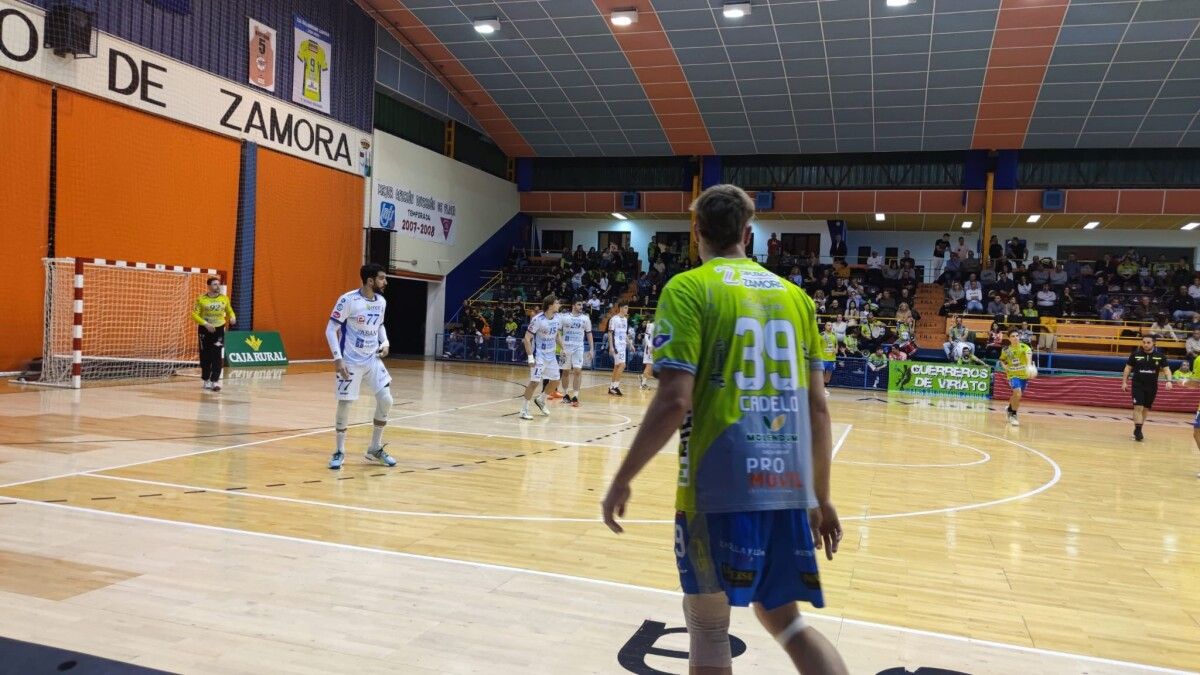 Zamora - Cisne