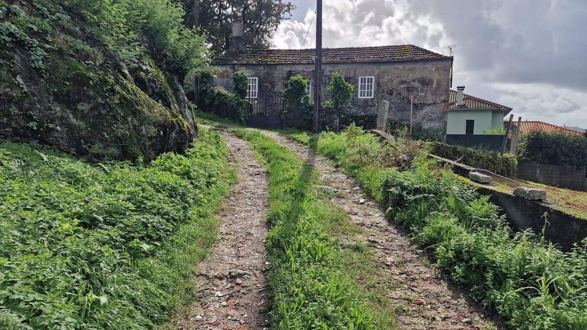 Camiño municipal sen pavimentar en Mourente