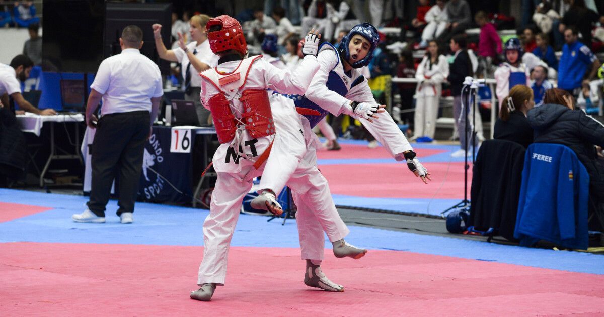 XXV edición do Campeonato Internacional Cidade de Pontevedra de Taekwondo