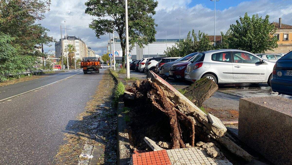 Daños de los temporales en Pontevedra