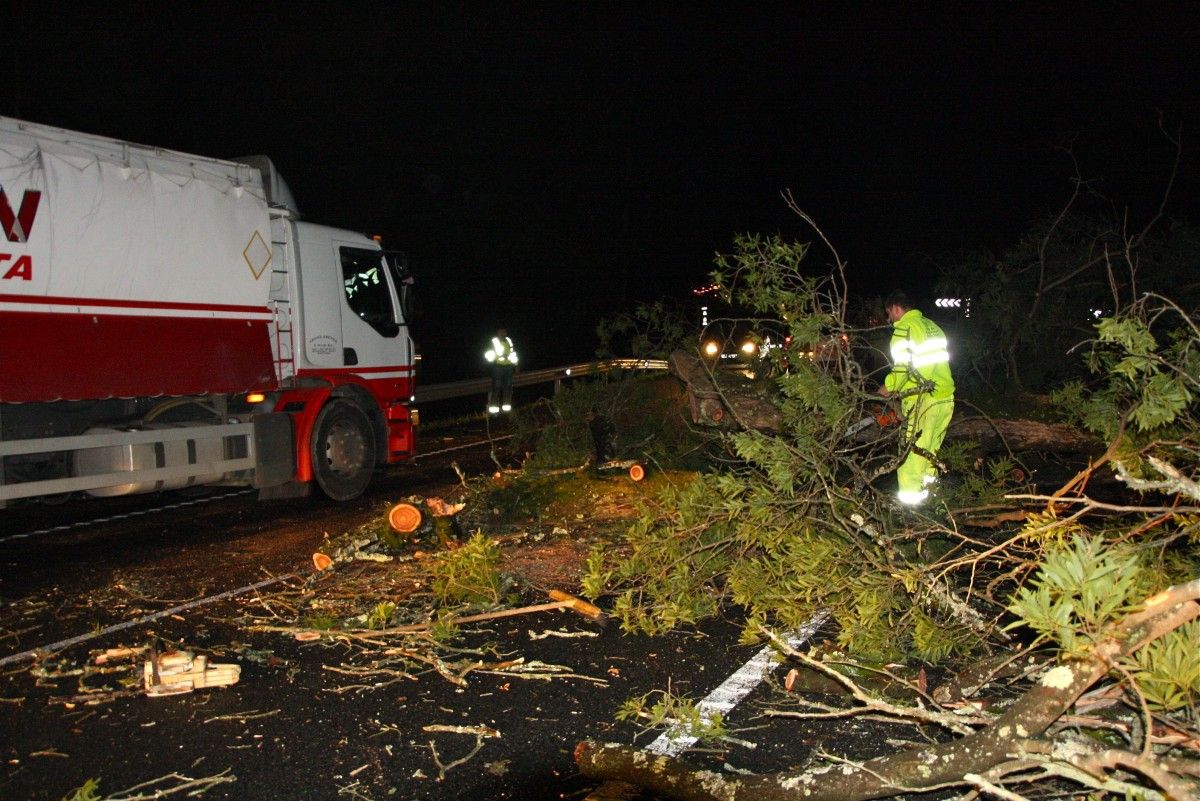 Trabajos de retirada del árbol caído en la N-550