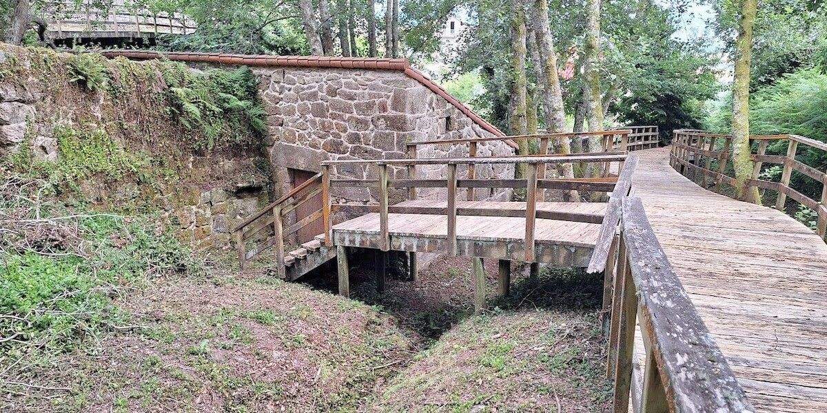 Senda dos carballos de Aldariz, en Bordóns