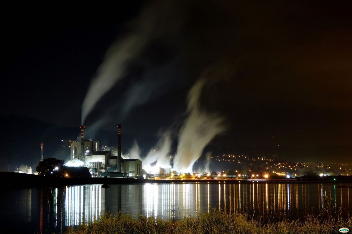Fábrica de ENCE en Lourizán