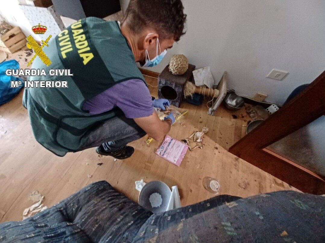 Agente del Seprona con los restos de los animales muertos