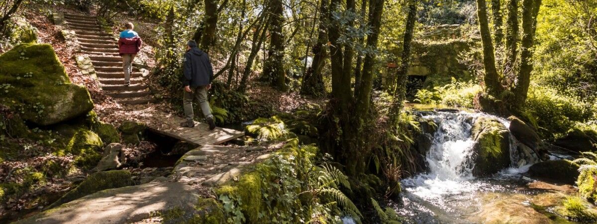 Camiño de Armenteira