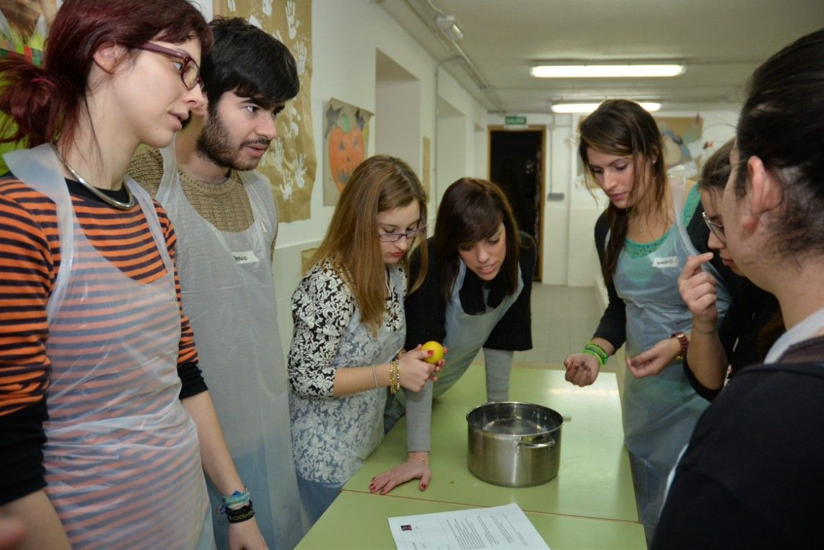 Actividades del programa Noites Abertas