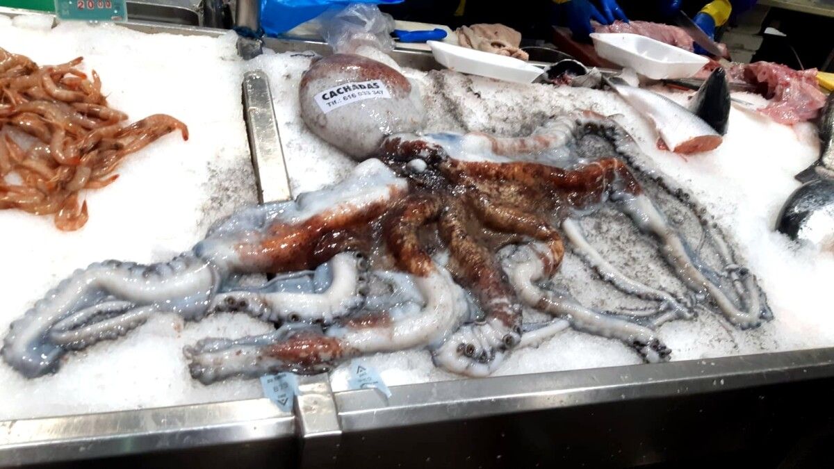 O enorme polbo no posto de venda de Pescadería Cachadas