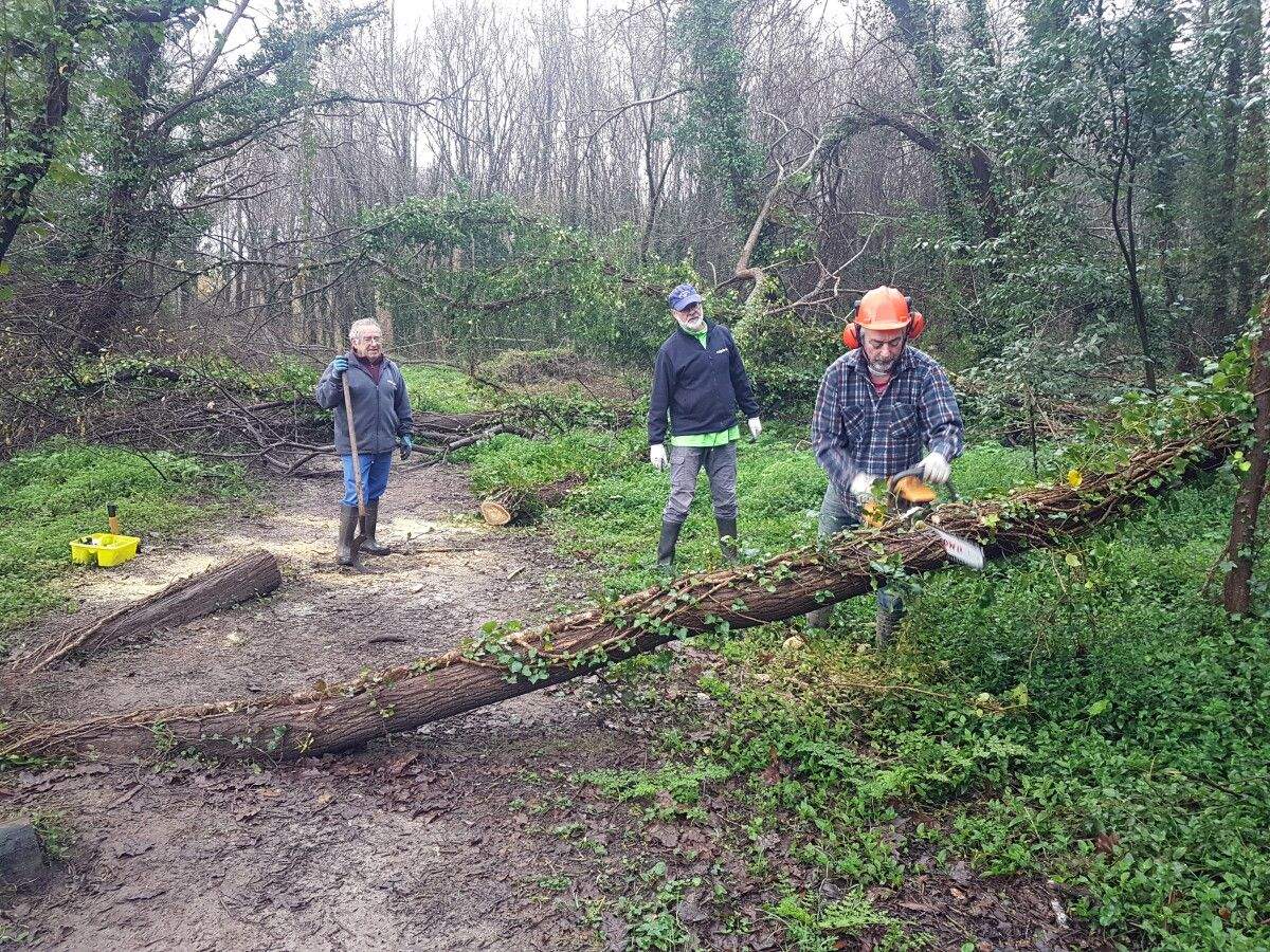 Integrantes de Vaipolorío retira un árbol desprendido en el sendero del Gafos