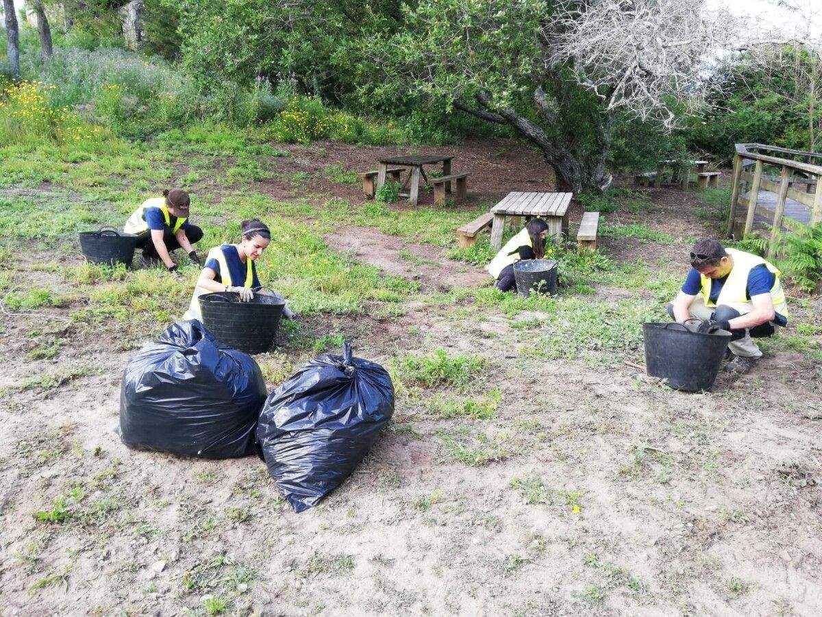Traballos de eliminación de especies invasoras