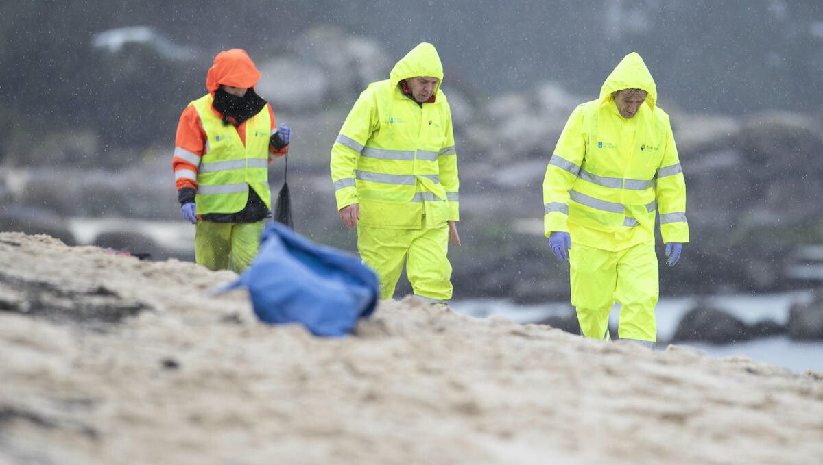 Tareas de búsqueda de pellets en la playa de Mexilloeira, en O Grove Tareas de búsqueda de pellets en la playa de Mexilloeira, en O Grove