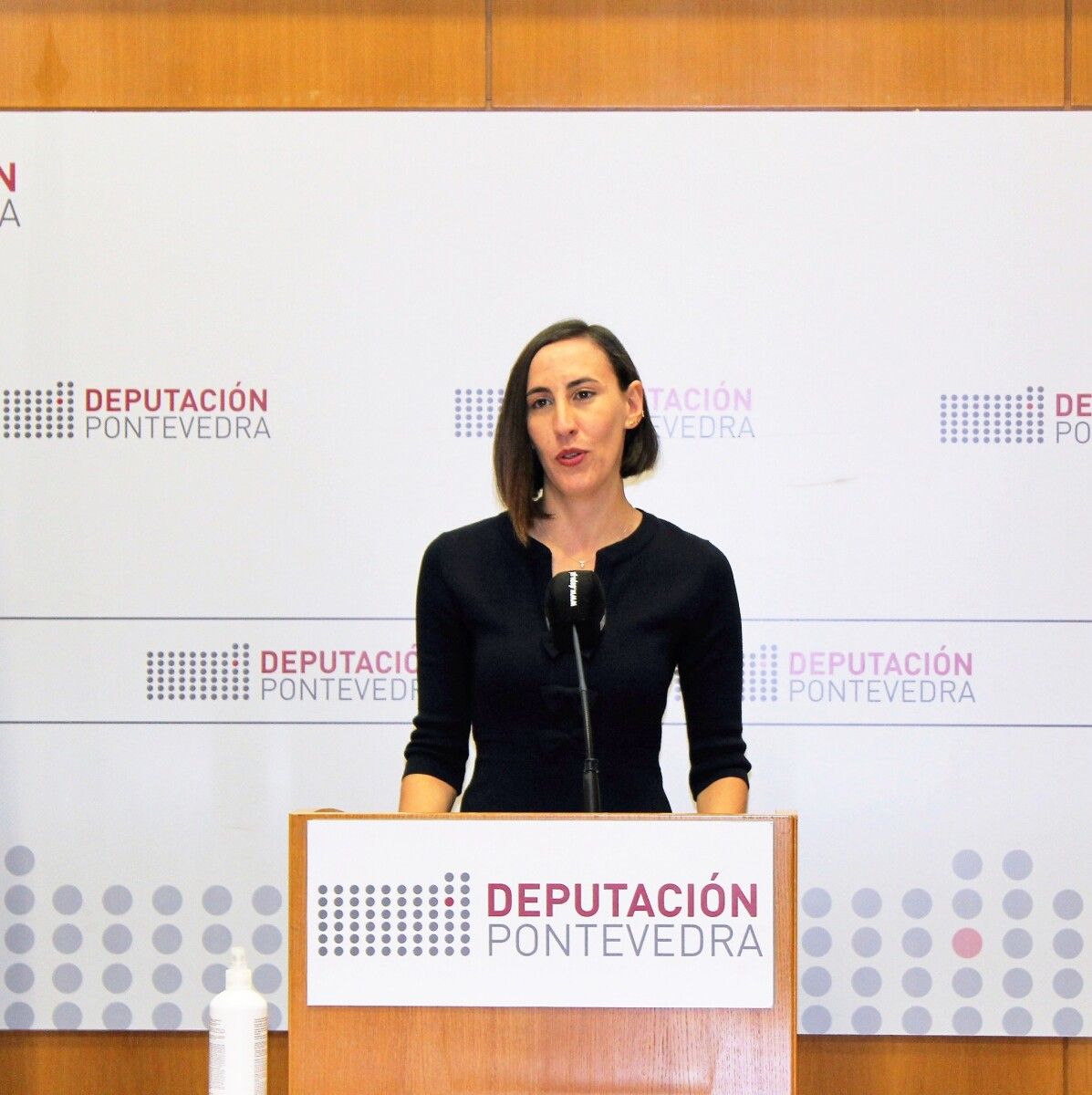 Laura Iglesias, diputada provincial del PSOE Laura Iglesias, diputada provincial del PSOE