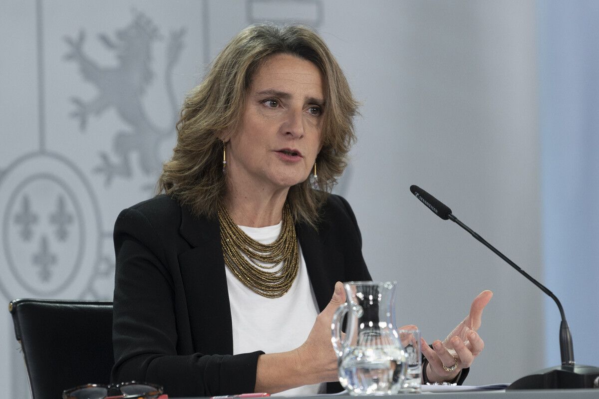 Teresa Ribera, vicepresidenta tercera del Gobierno y ministra para la Transición Ecológica y el Reto Demográfico