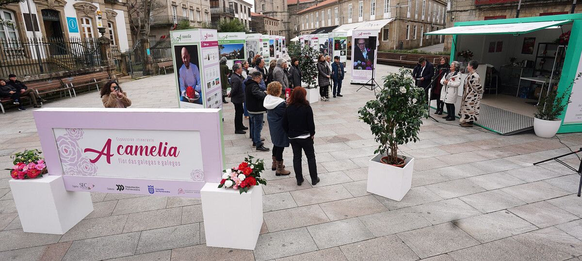 Muestra itinerante "A camelia, flor das galegas e dos galegos"