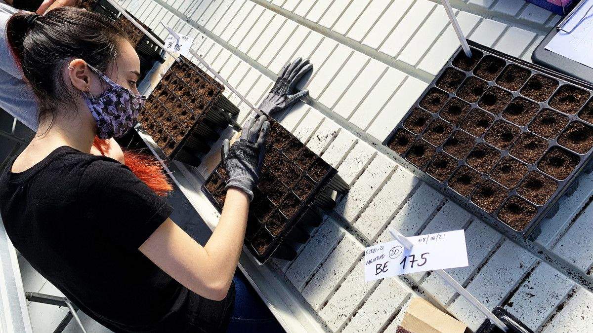 Investigadores da Misión Biolóxica de Galicia