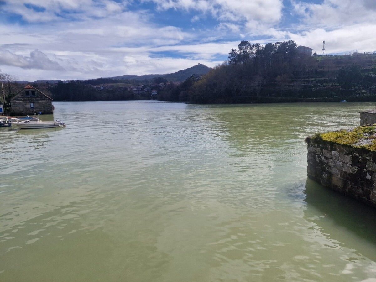 Los arrastres de tierra colorean de marrón las aguas del río Verdugo en Ponte Sampaio