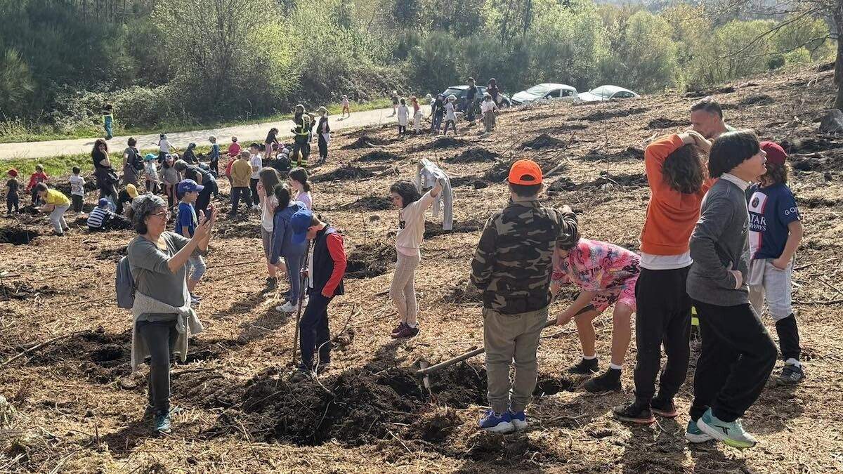 O alumnado dos colexios de Ponte Caldelas participou na creación dun bosque 