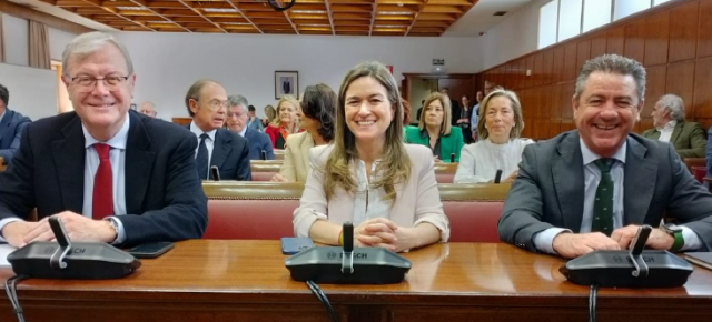 Pepa Pardo, en el Senado