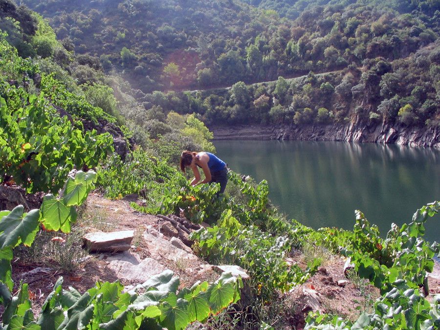 Iria Rodríguez, investigadora del CSIC