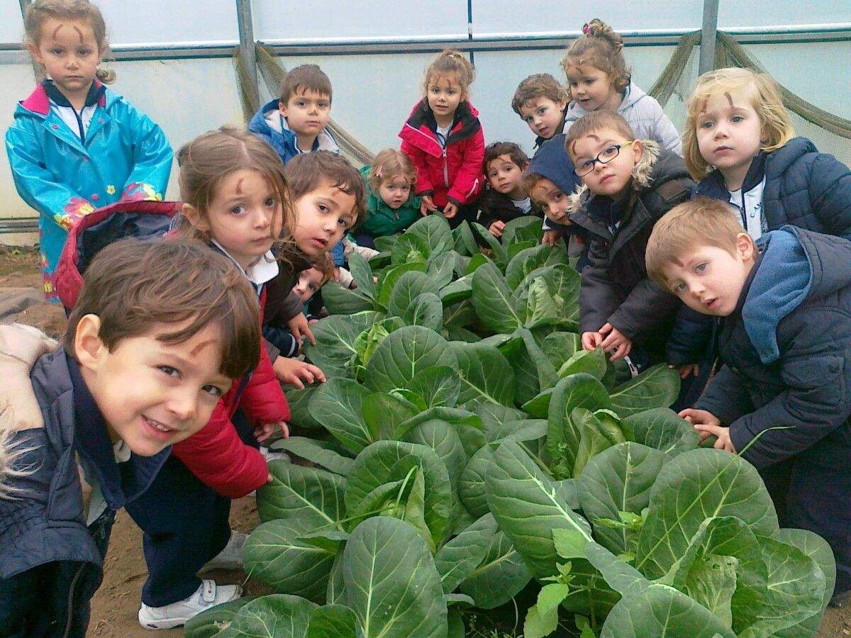 Granxa escola Serantellos, en Cambados
