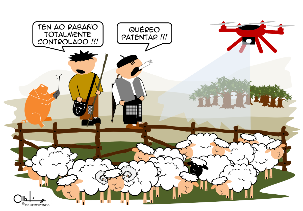 Os Recortiños: Dron controlador do rabaño