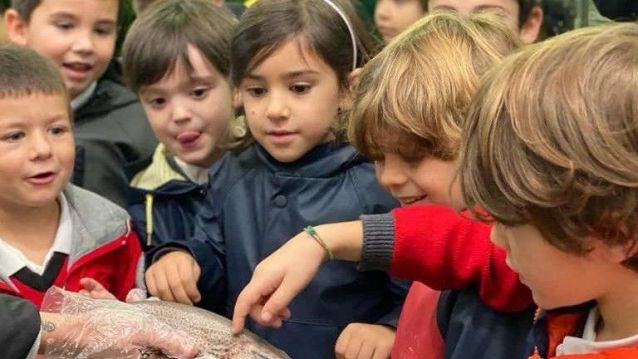 Visita escolar al Mercado de Pontevedra Visita escolar al Mercado de Pontevedra