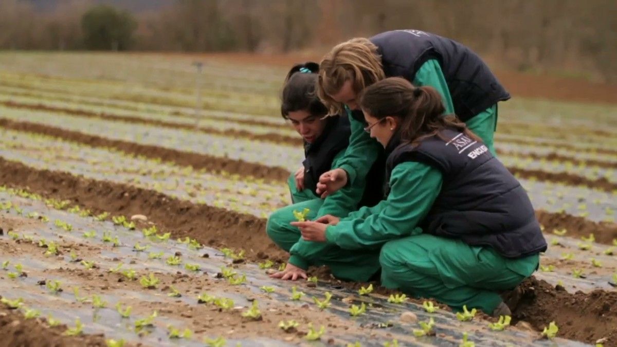 Un grupo de mujeres trabajando en el campo
