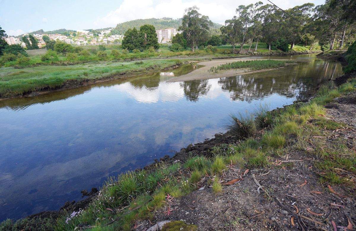 Xunqueira da Gándara (Alba)