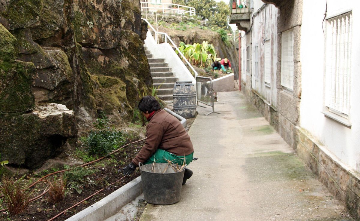 Trabajos de ajardinamiento en Monte do Taco