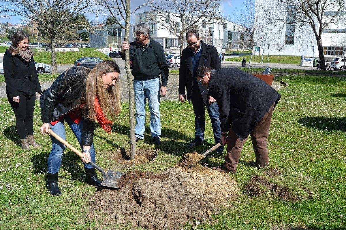 Plantación de un castaño en la entrada de la Escuela de Forestales