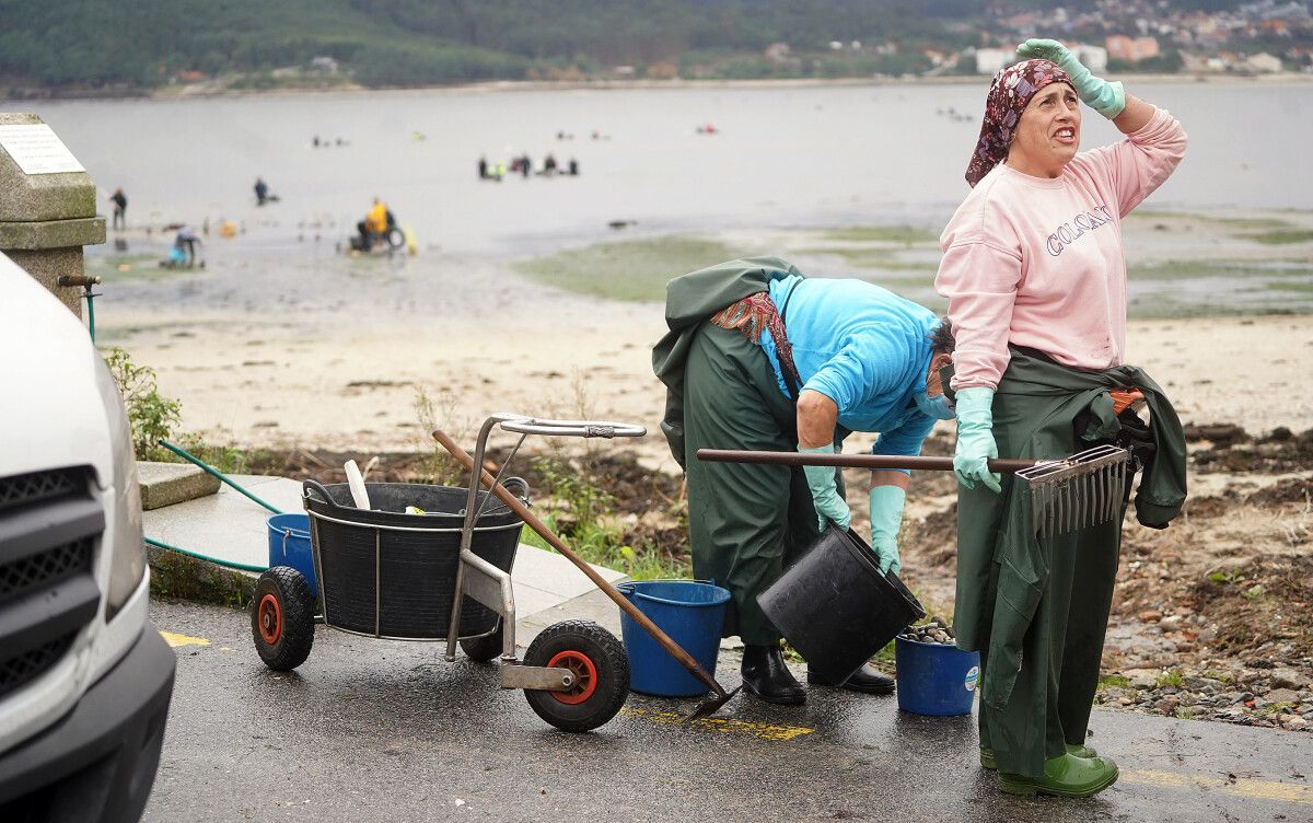 Mariscadoras de Lourizán