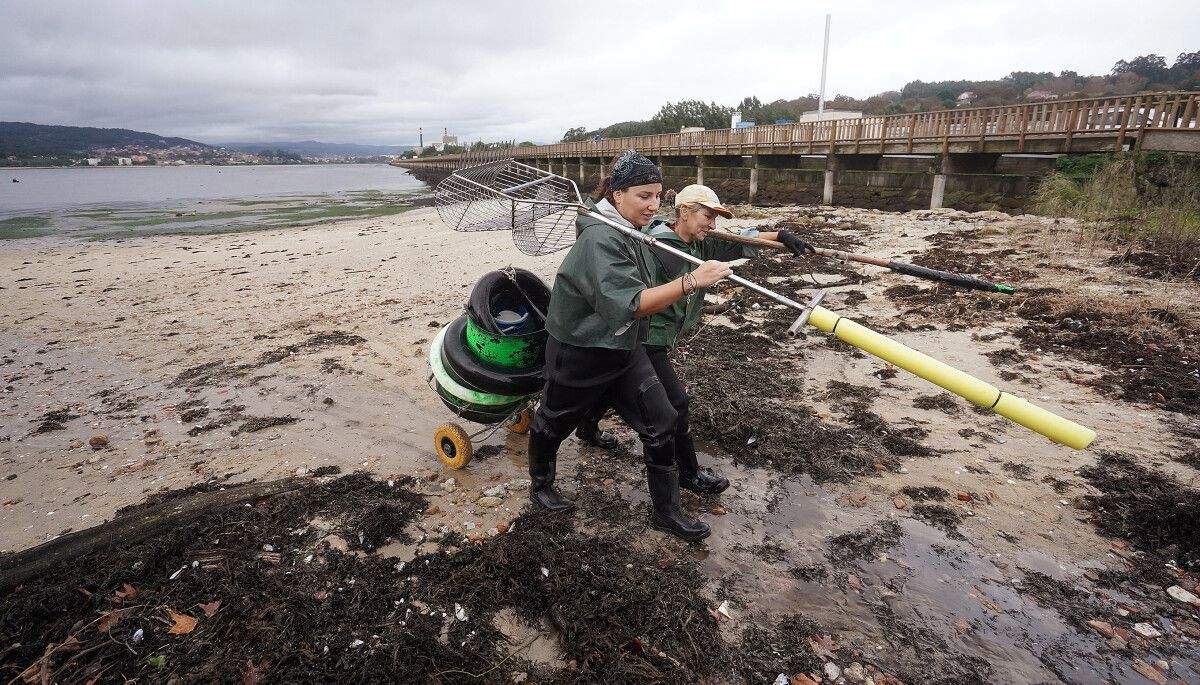 Mariscadoras de Lourizán