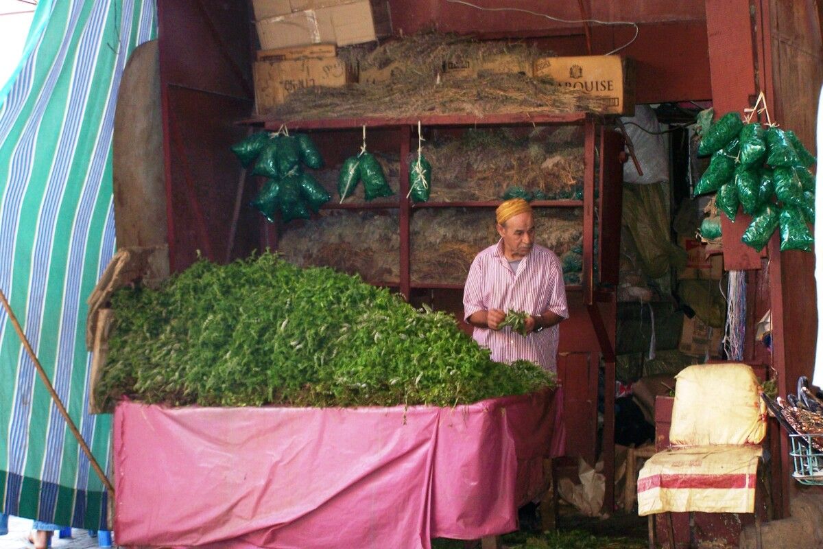 Vendedor de menta no zoco Vendedor de menta no zoco