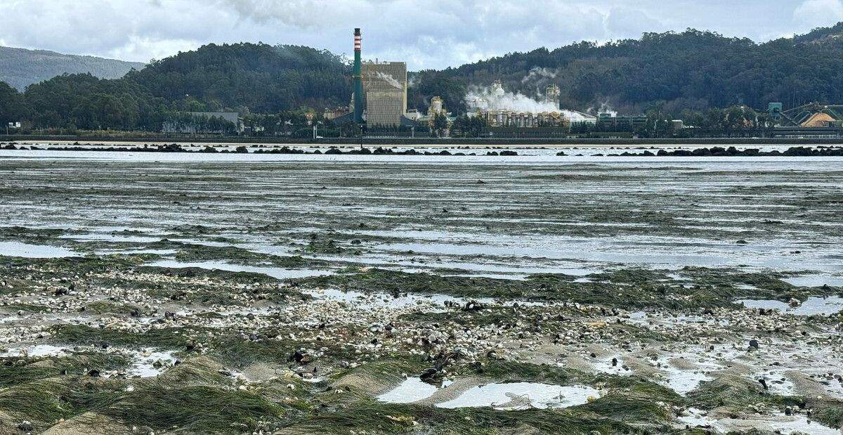 Ría de Pontevedra