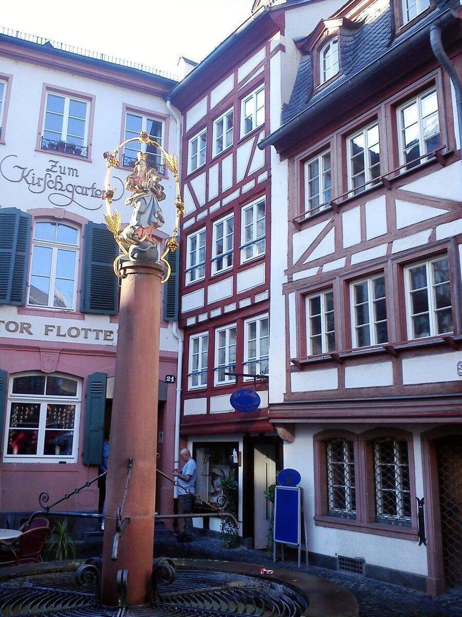 Kirschgarten coa fonte da Madonna