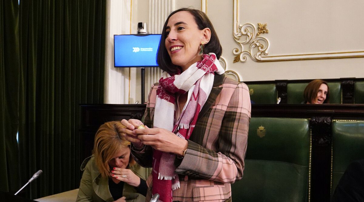 Pleno da Deputación de Pontevedra