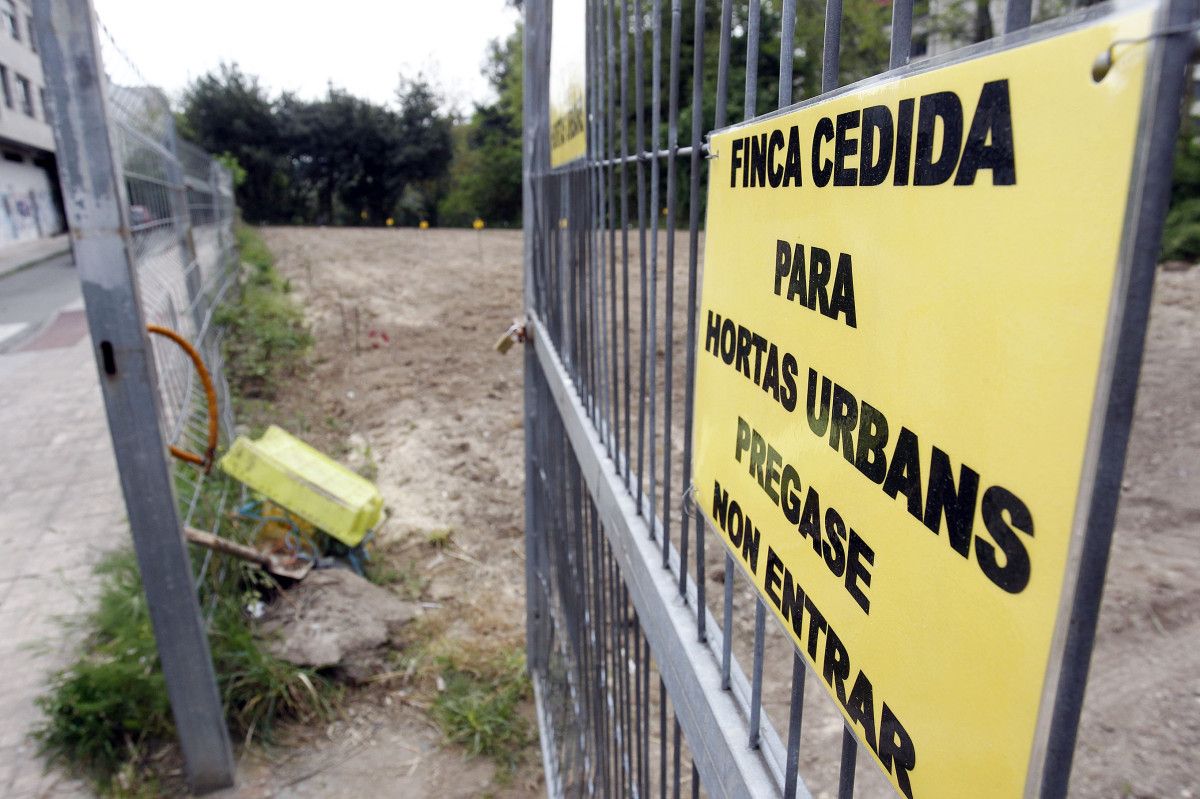 Terreno en los que se encuentran las huertas urbanas de la Federación de Veciños Castelao