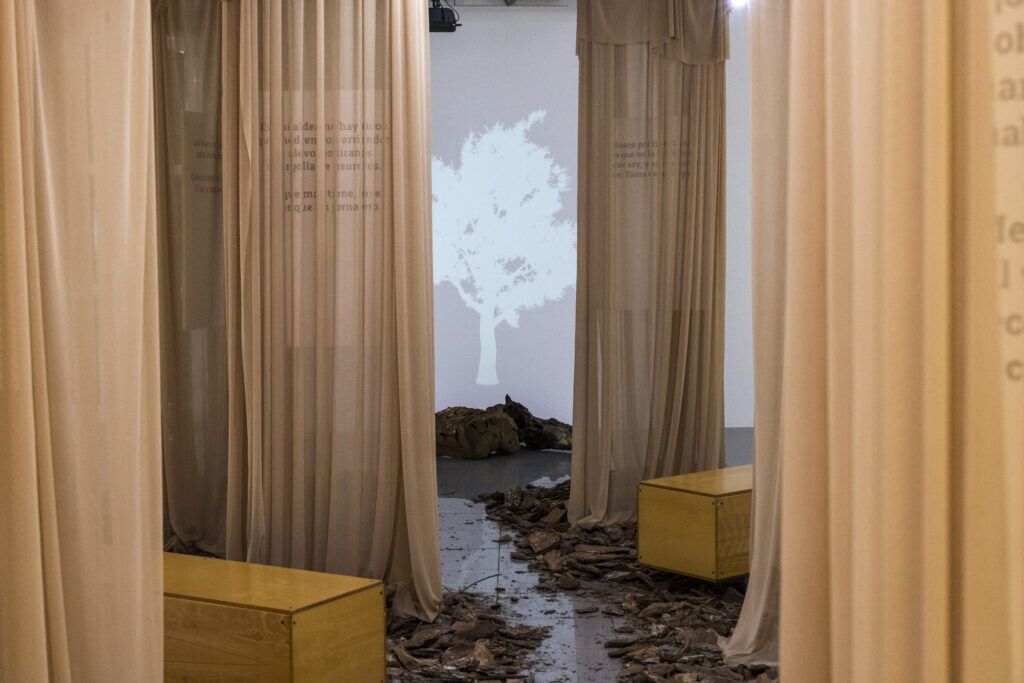 Exposición tributo a González Ananín