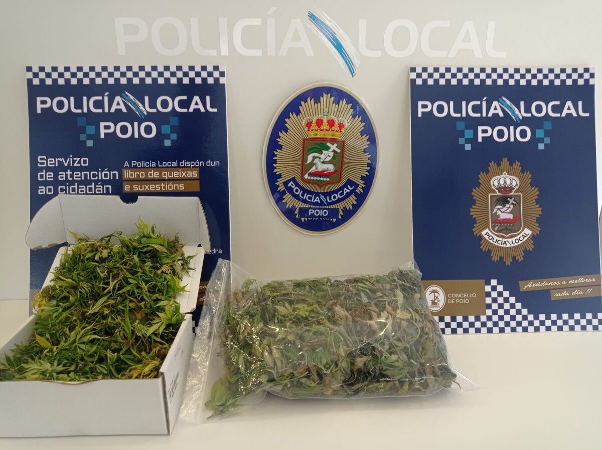 Marihuana confiscada