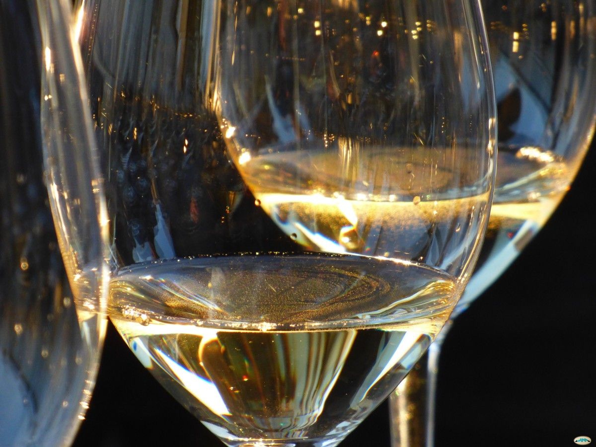 Copas de vino