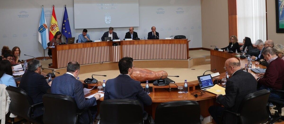 Comisión de Educación e Cultura no Parlamento de Galicia