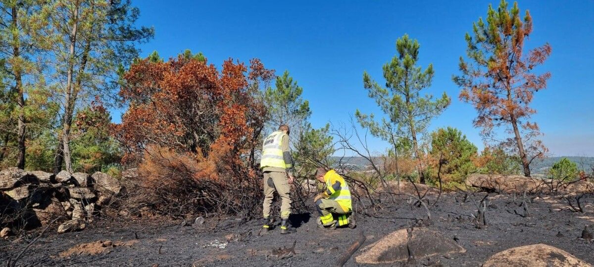Agentes ambientales de la Unidad de Investigación de Incendios Forestales (UIFO)