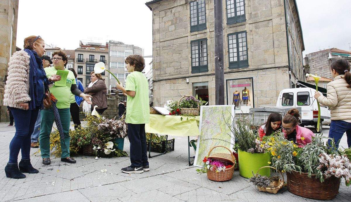 Repartición reivindicativa de flores por parte de Salvemos A Fracha