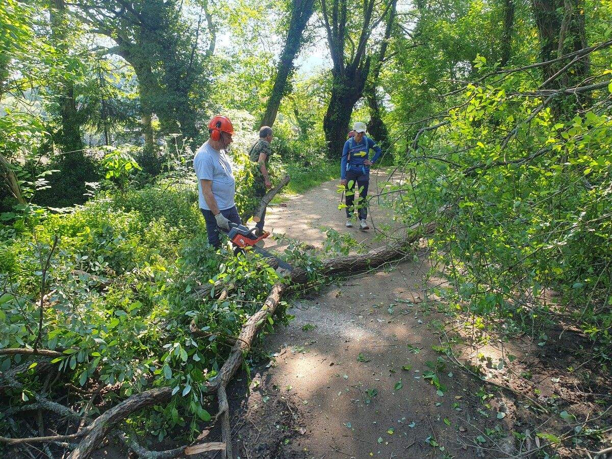 Retirada de árbores caídas no sendeiro do río Gafos en Tomeza