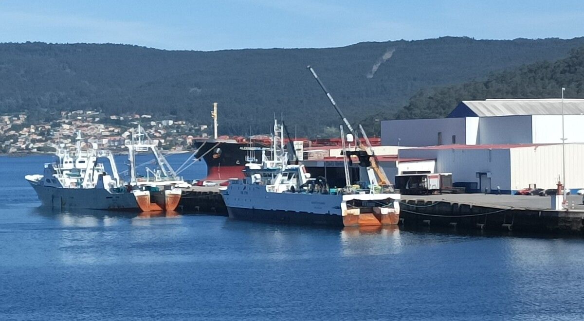Dous buques conxeladores descargando lura de Malvinas