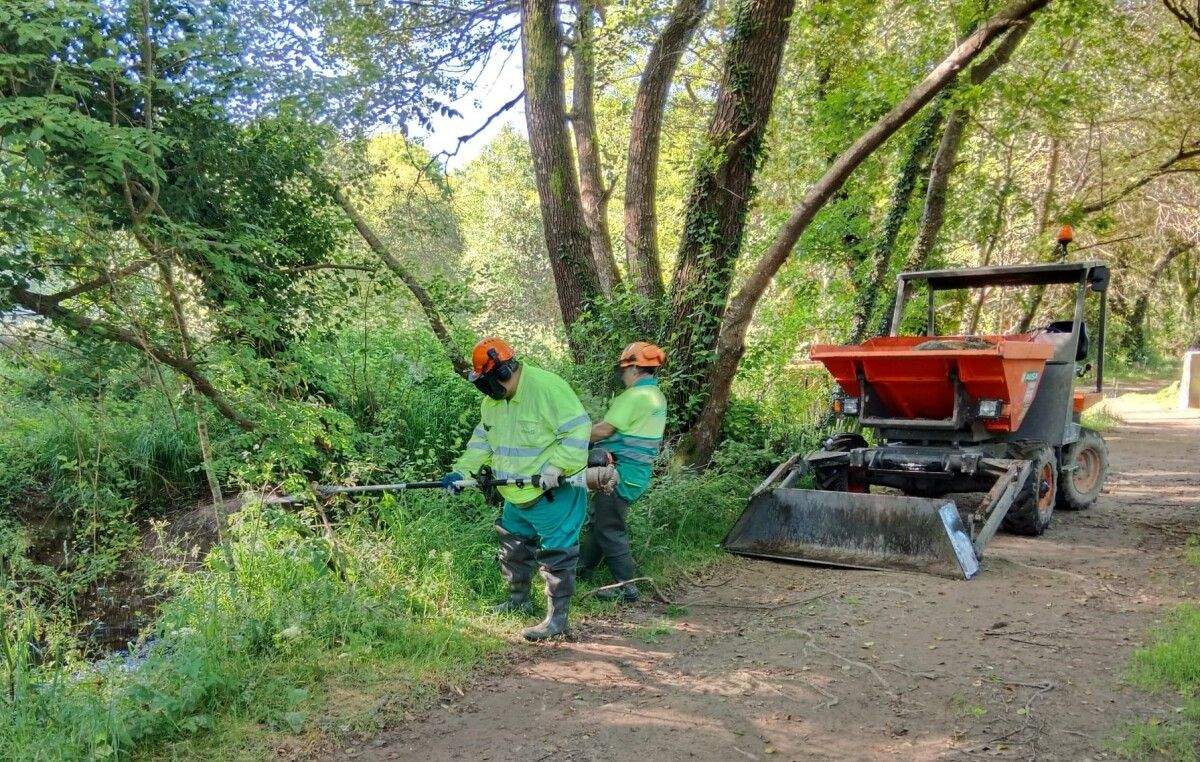Augas de Galicia realiza labores de conservación no río Tomeza